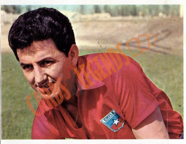 Leonel Sanchez 1966 Www Cardsoflegends Com